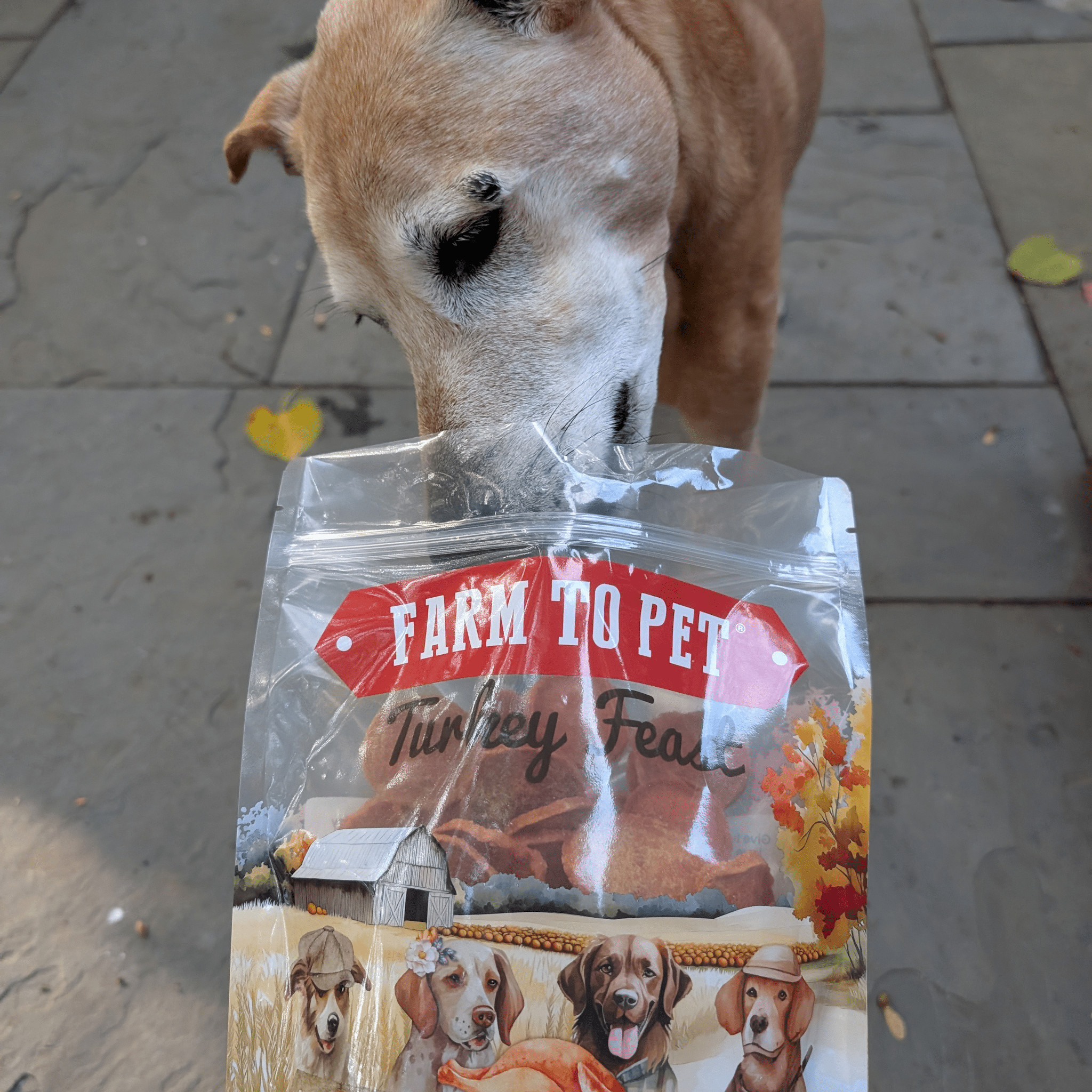Turkey Feast Chips – Single-Ingredient Thanksgiving Dog & Cat Treats