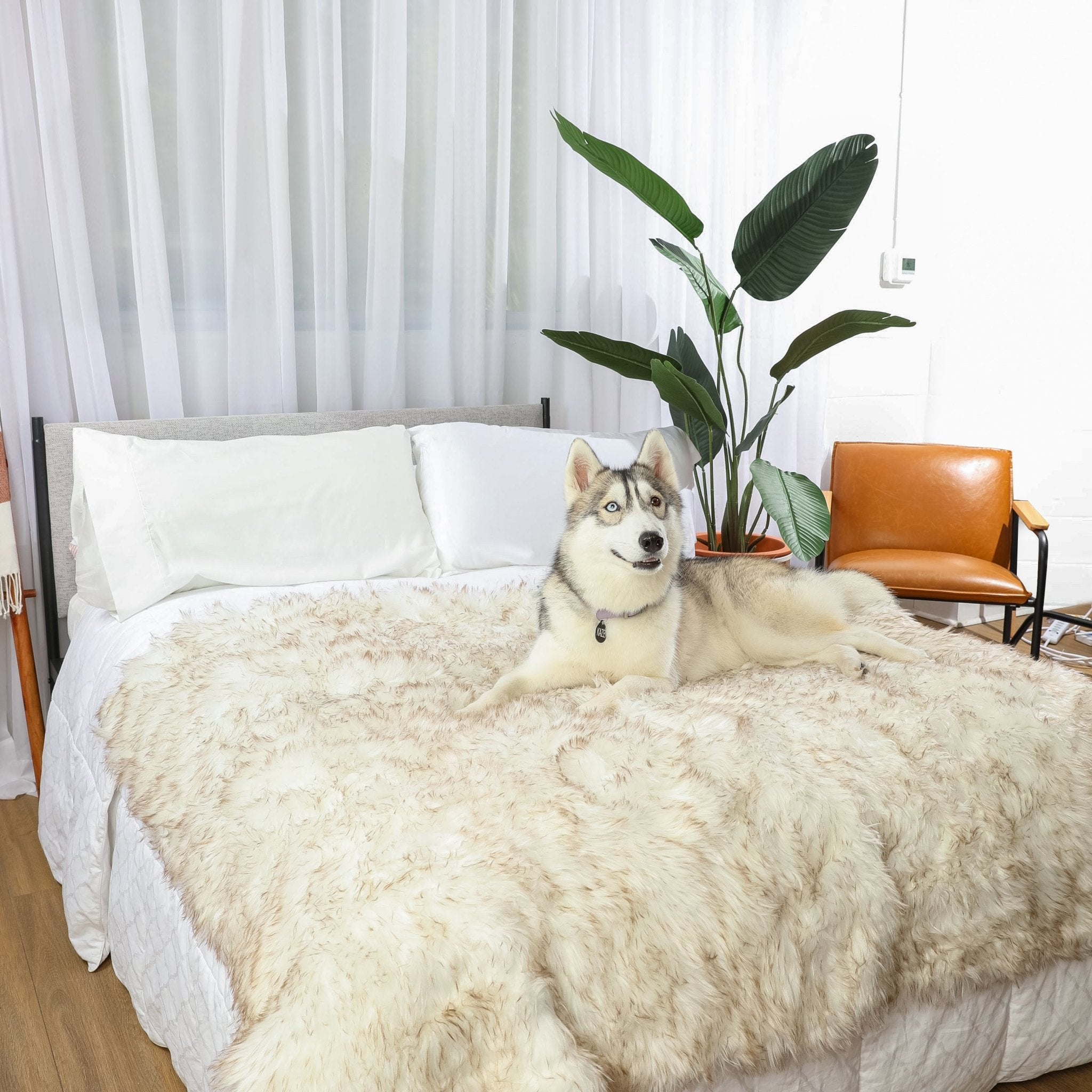 PupProtector™ Waterproof Dog Blanket – Durable, Washable, Throw Furniture Protector for Pets - White with Brown Accents