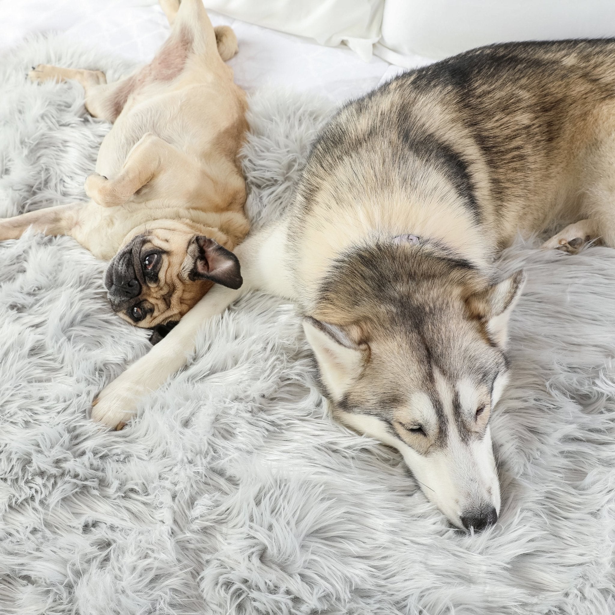 PupProtector™ Waterproof Dog Blanket – Durable, Washable, Throw Furniture Protector for Pets - Grey