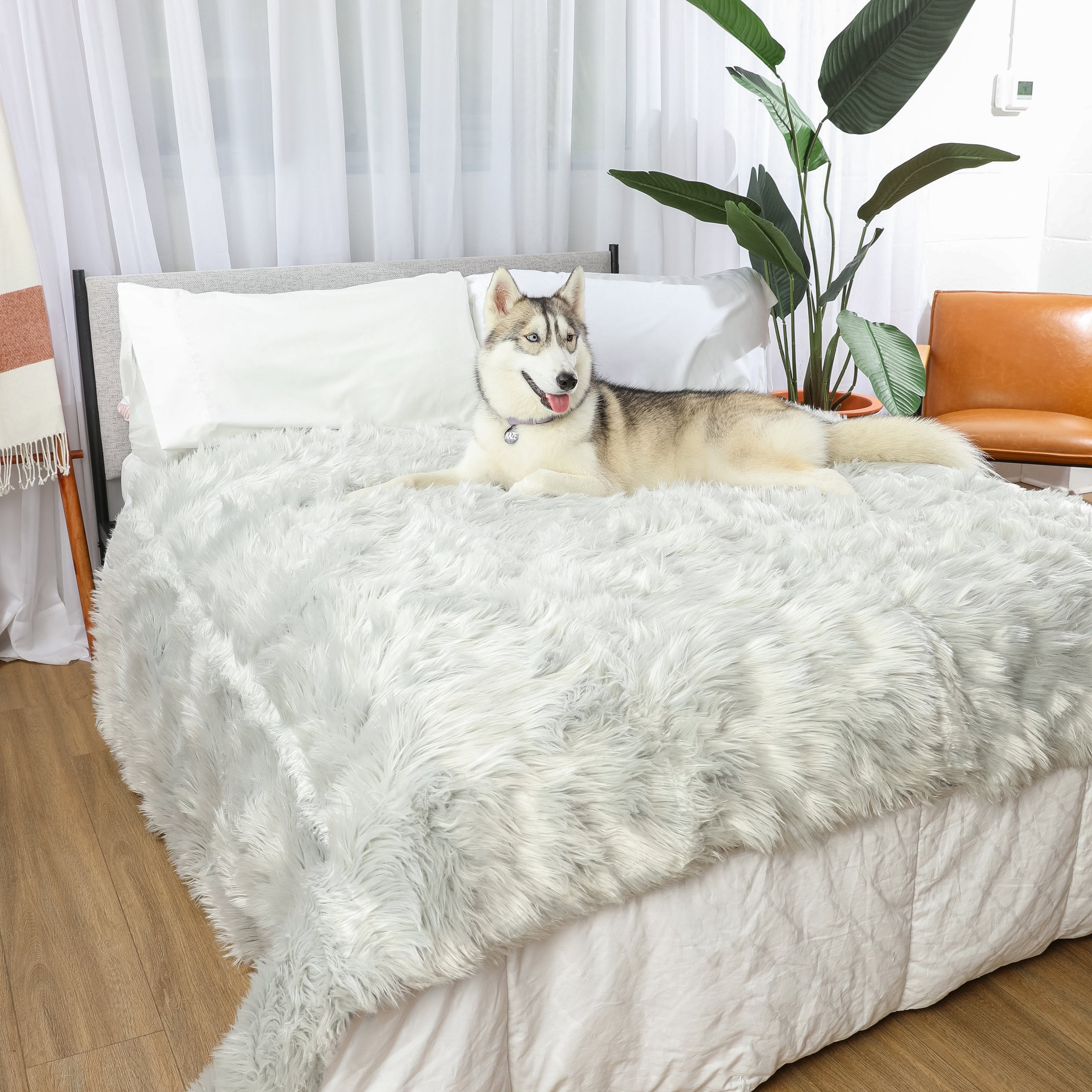 PupProtector™ Waterproof Dog Blanket – Durable, Washable, Throw Furniture Protector for Pets - Grey