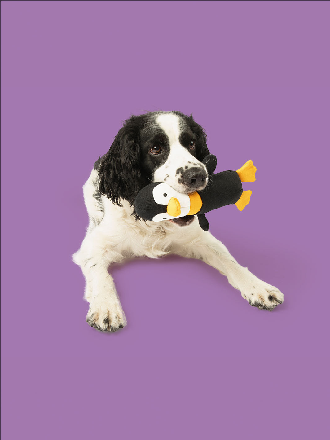 Waddles Plush Penguin Dog Toy – Durable Canvas Crinkle Toy