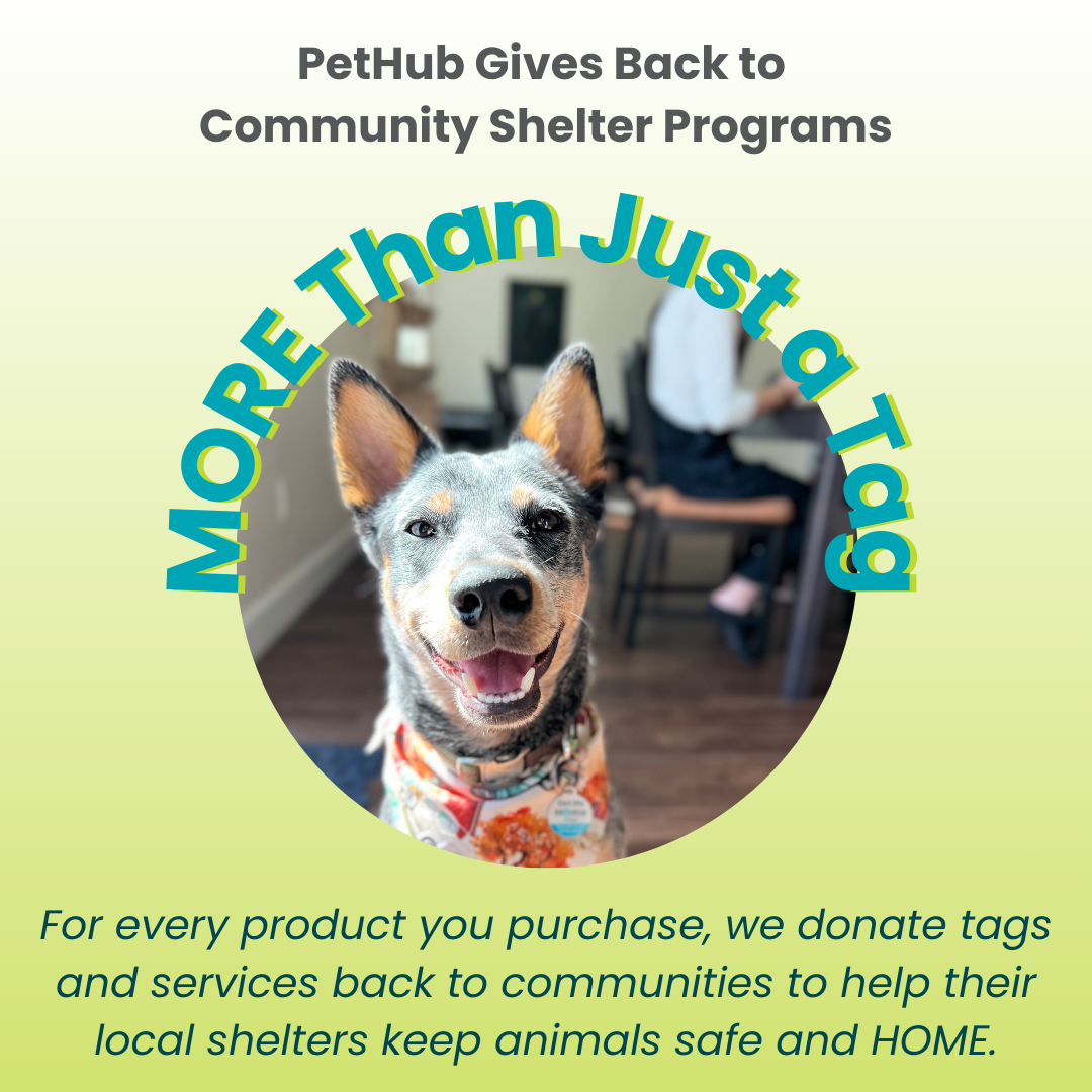 PetHub QR Pet ID Tag – AWOL (Absent Without a Leash)Smart Lost Pet Tag