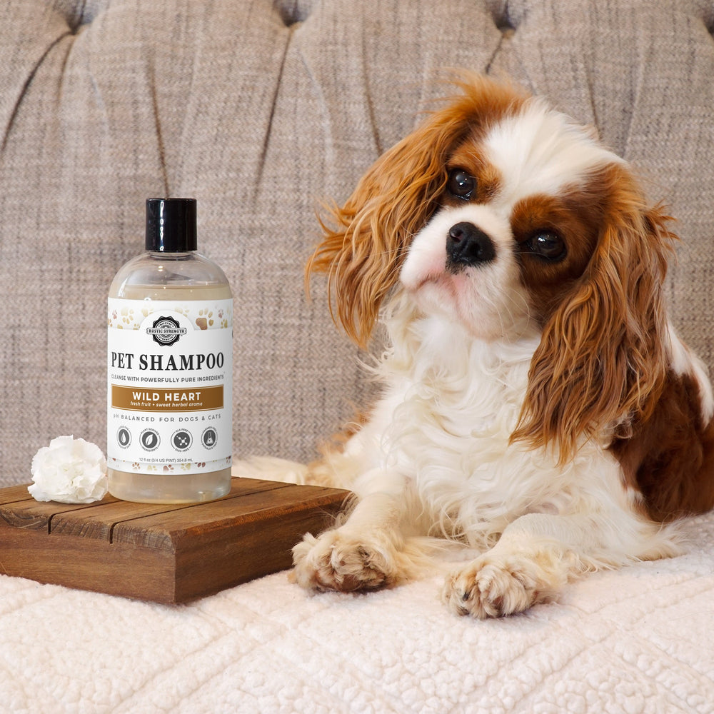 Wild Heart™ Natural Pet Shampoo – Soothing & Deodorizing for Dogs & Cats