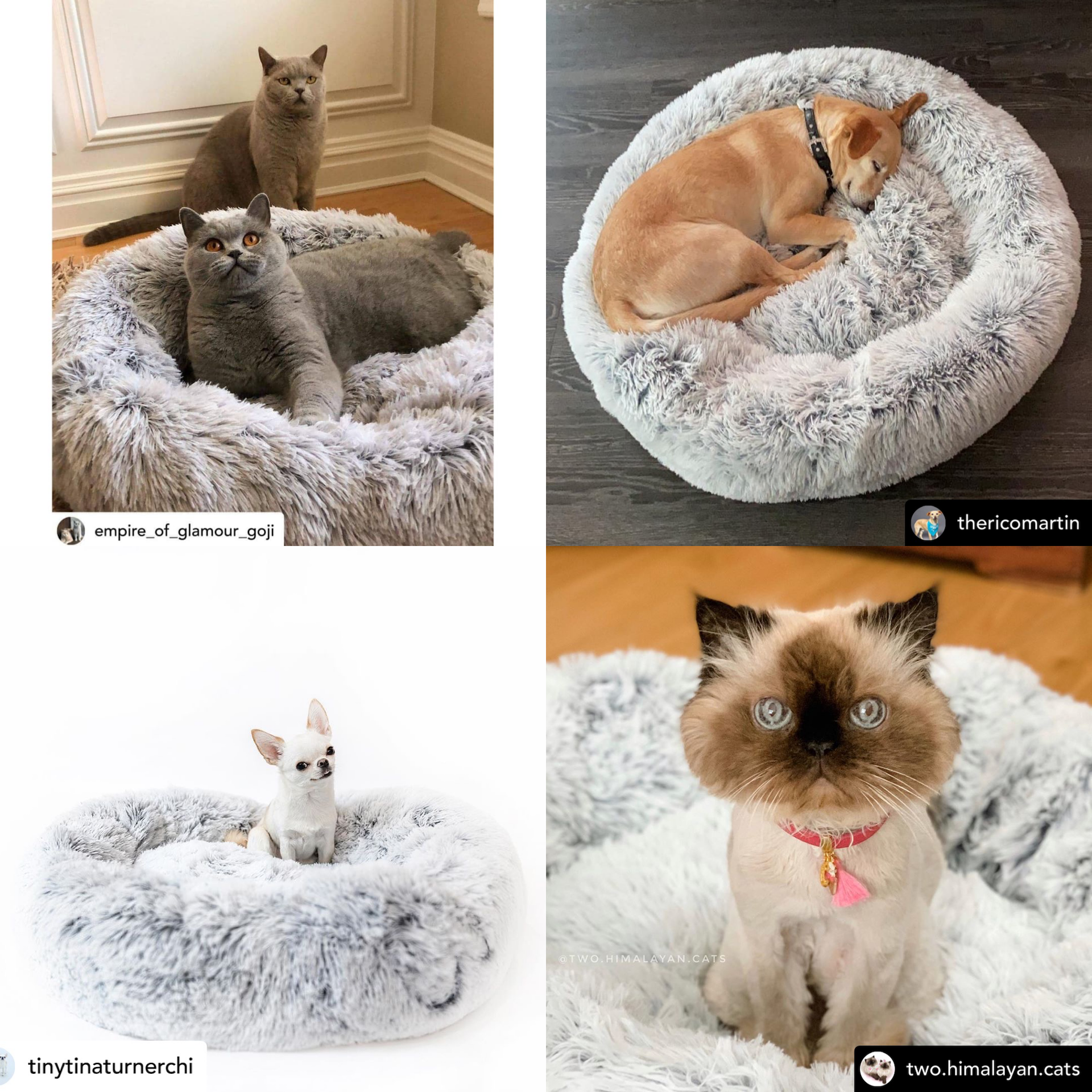 Mr. Peanut’s OrthoPlush® 28" Orthopedic Pet Bed – Luxuriously Soft, Vet-Designed Support for Dogs & Cats