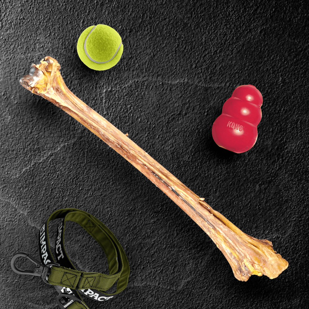 Savannah Ostrich Long Bone (19" x 3.5") – The Ultimate Hypoallergenic Chew for Medium to XL Dogs
