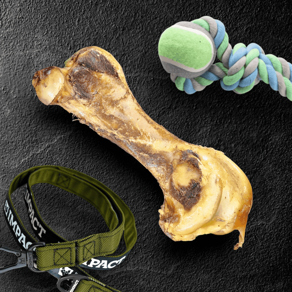 Ostrich Hip Bone for Dogs (12" x 5" x 3") – Long-Lasting, Hypoallergenic Chew for Medium & Large Breeds