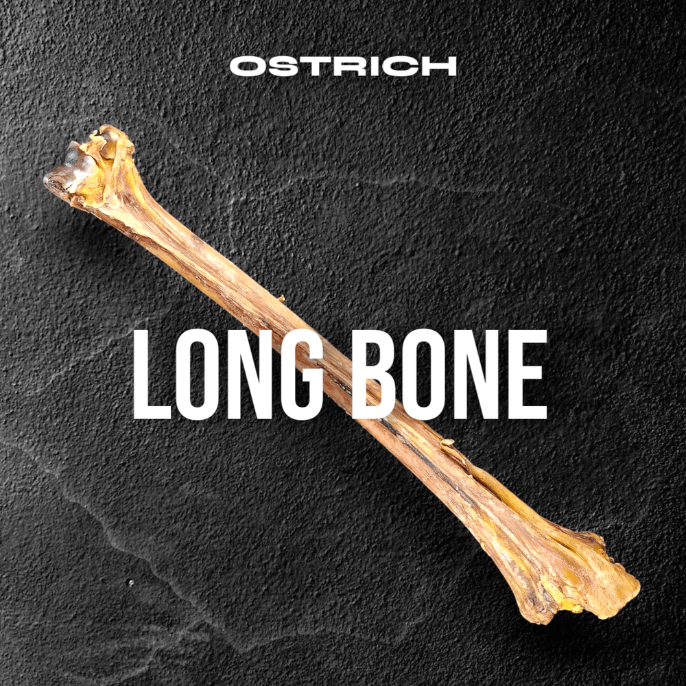 Savannah Ostrich Long Bone (19" x 3.5") – The Ultimate Hypoallergenic Chew for Medium to XL Dogs