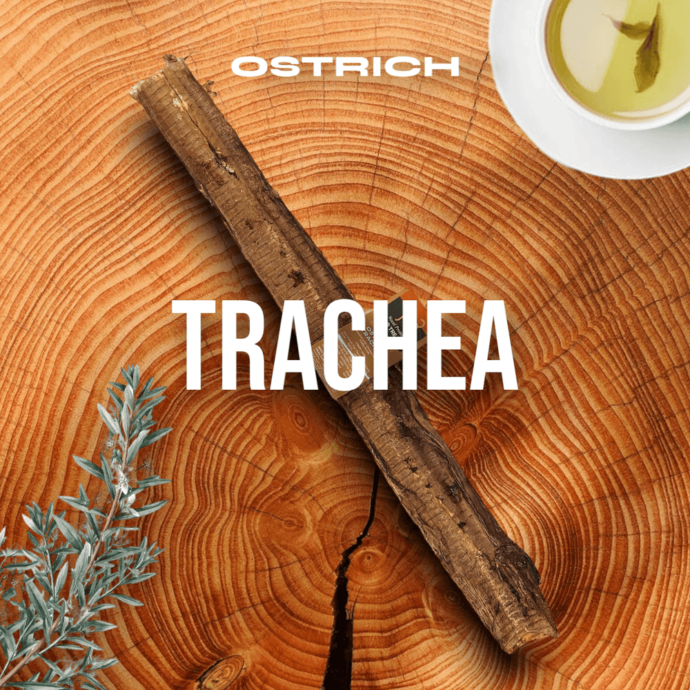 Crunchy Whole Ostrich Trachea Dog Chew – All-Natural, Hypoallergenic Treat