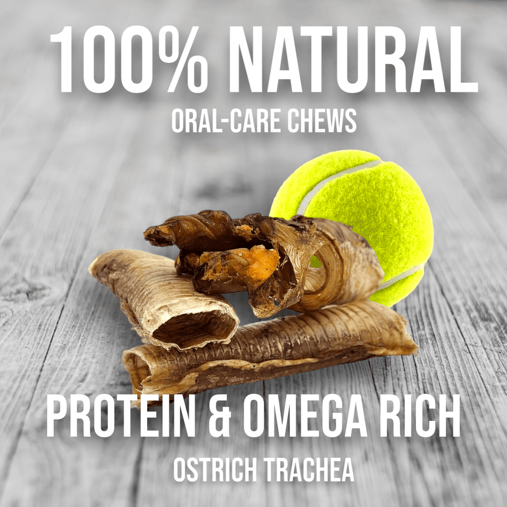 Crunchy Ostrich Trachea Cuts – Light, Hypoallergenic Chews for Small & Medium Dogs