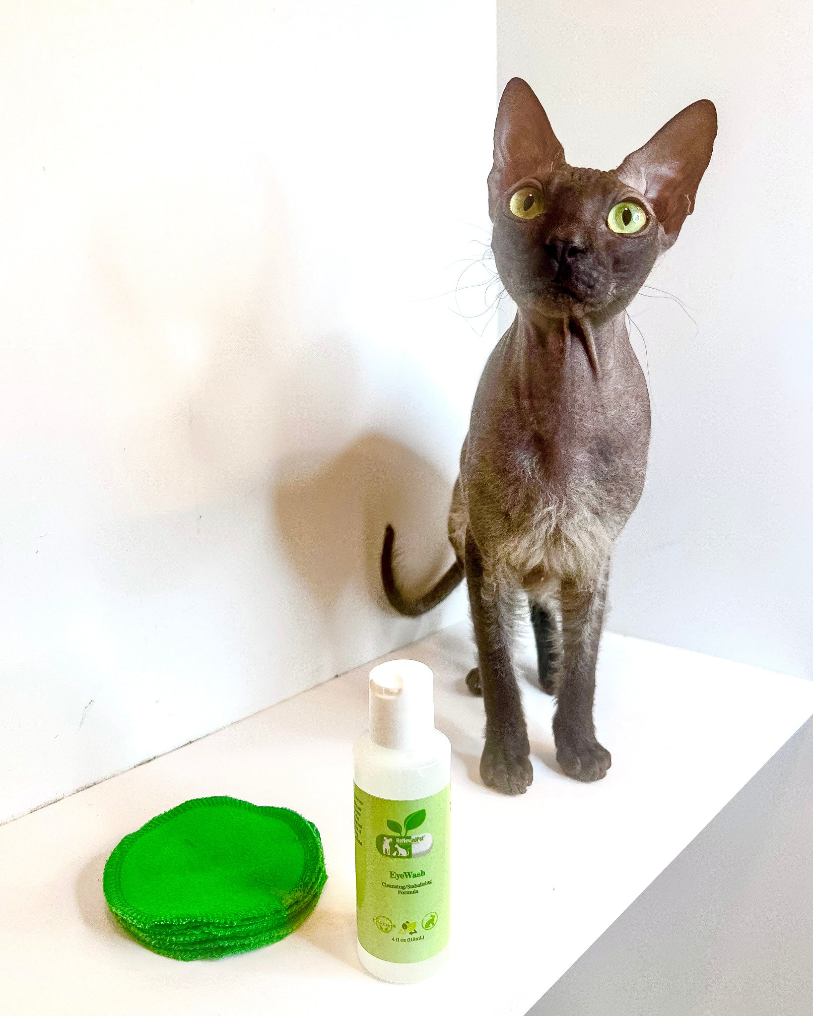 ReNewedPet® Natural Pet Eyewash with Reusable Cotton Pads – Organic Daily Eye Cleaner for Dogs & Cats