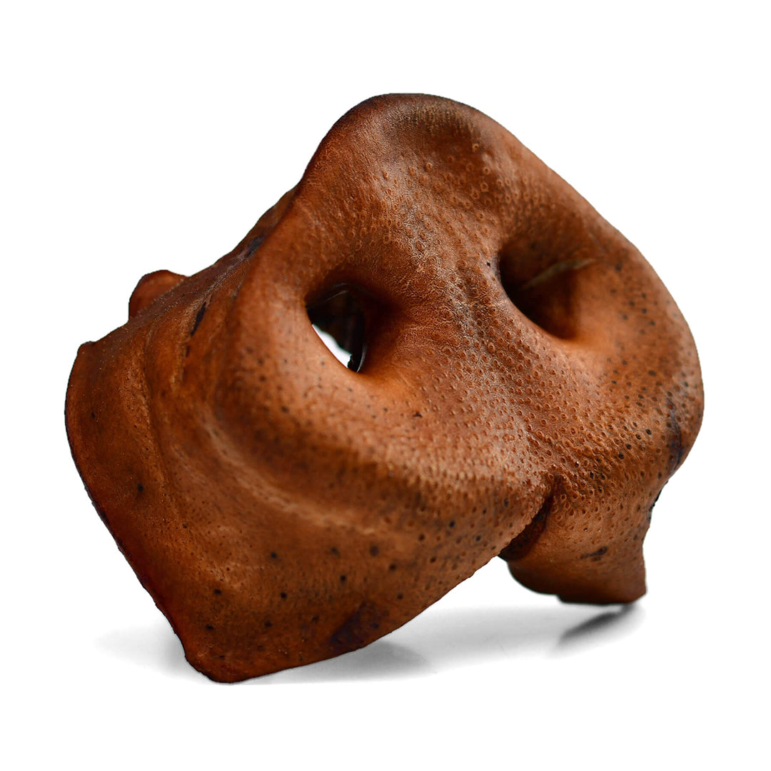 All-Natural Pork Snouts | #1 Best-Selling Oven-Baked Single-Ingredient Dog Chews in the USA (6 Pcs)