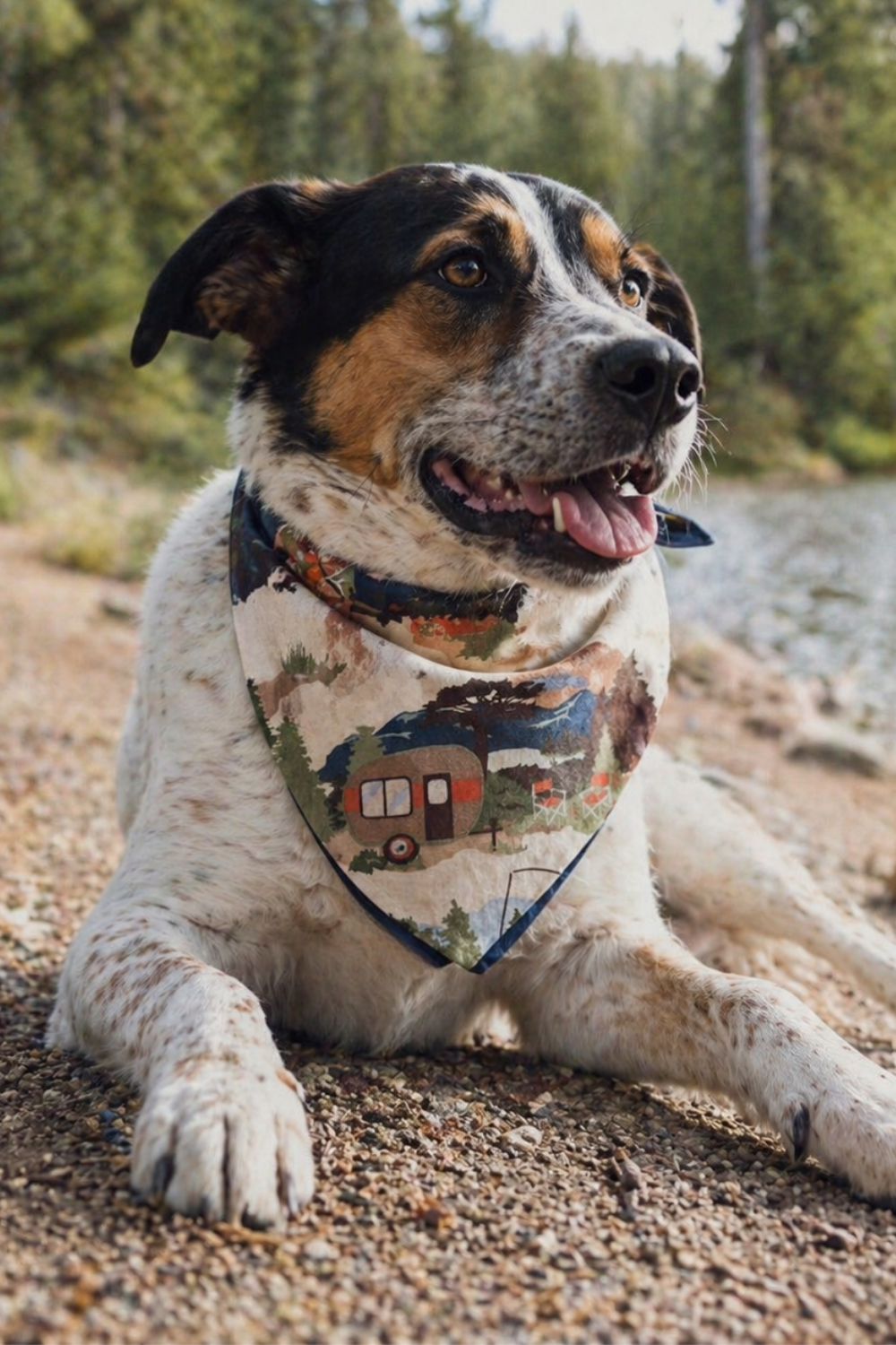 Camping Dog Bandana – Personalized Outdoor Adventure Bandana for Hiking Dogs