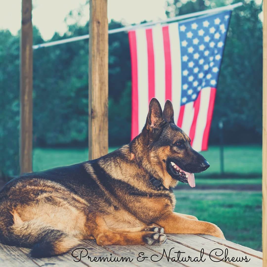 SuperCan All-Natural Bully Sticks for Dogs – Single-Ingredient, Fully Digestible Chews