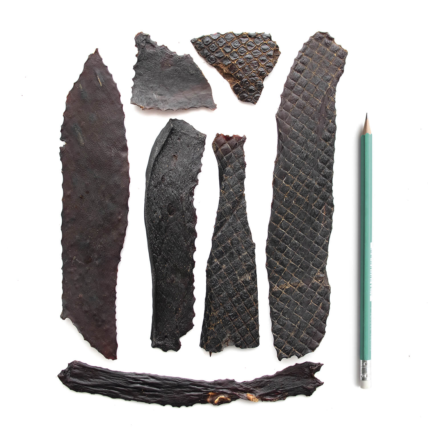 SuperCan Liver Fillets Dog Treats | Natural Source of Vitamin B6, B12, Iron & Zinc (6oz)