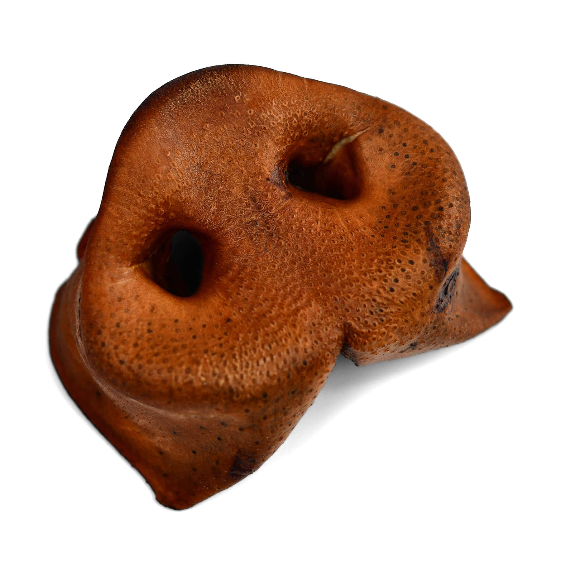 All-Natural Pork Snouts | #1 Best-Selling Oven-Baked Single-Ingredient Dog Chews in the USA (6 Pcs)