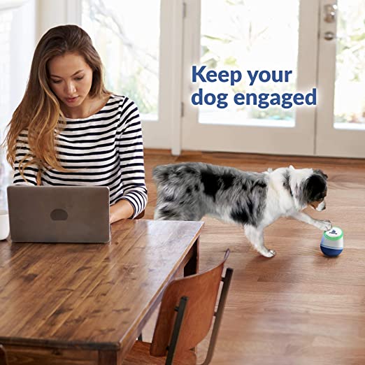 PupPod Gaming, Training, and Enrichment System for Dogs - Positive Reinforcement Puzzle Toy, Video Feeder, and Mobile App