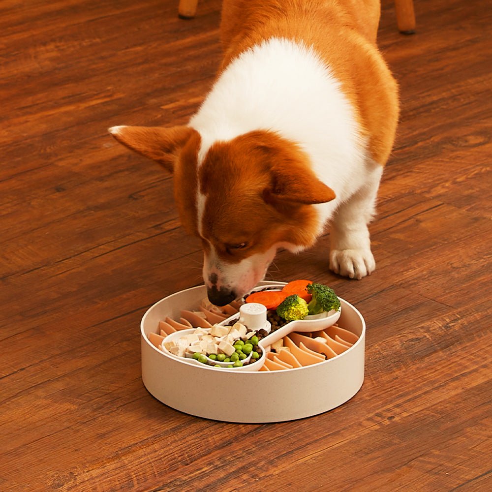 Puzzle Feeder™ Wave - Extra Slow Feeder Dog Bowl for Improved Digestion & Fun (Pink)