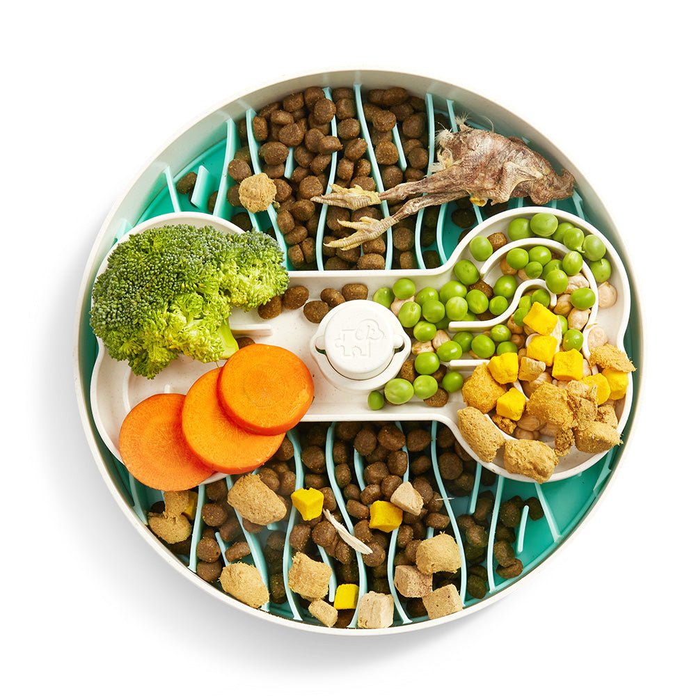Puzzle Licker Maze Slow Feeder - Triple Texture Dog Bowl for Fun & Healthy Eating (Green)