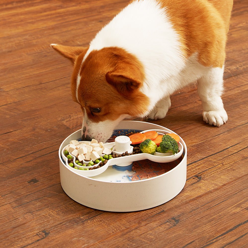 Puzzle Licker Maze Slow Feeder - Triple Texture Dog Bowl for Fun & Healthy Eating (Blue)