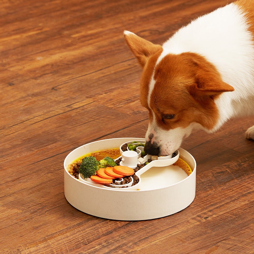 Puzzle Licker Maze Slow Feeder - Triple Texture Dog Bowl for Fun & Healthy Eating (Yellow)