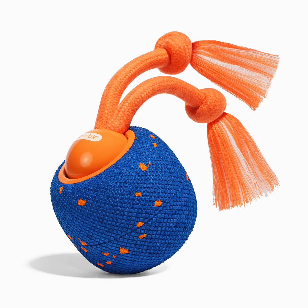 Creeble®Wicked Ball Rolly – Interactive Smart Rolling Dog Toy