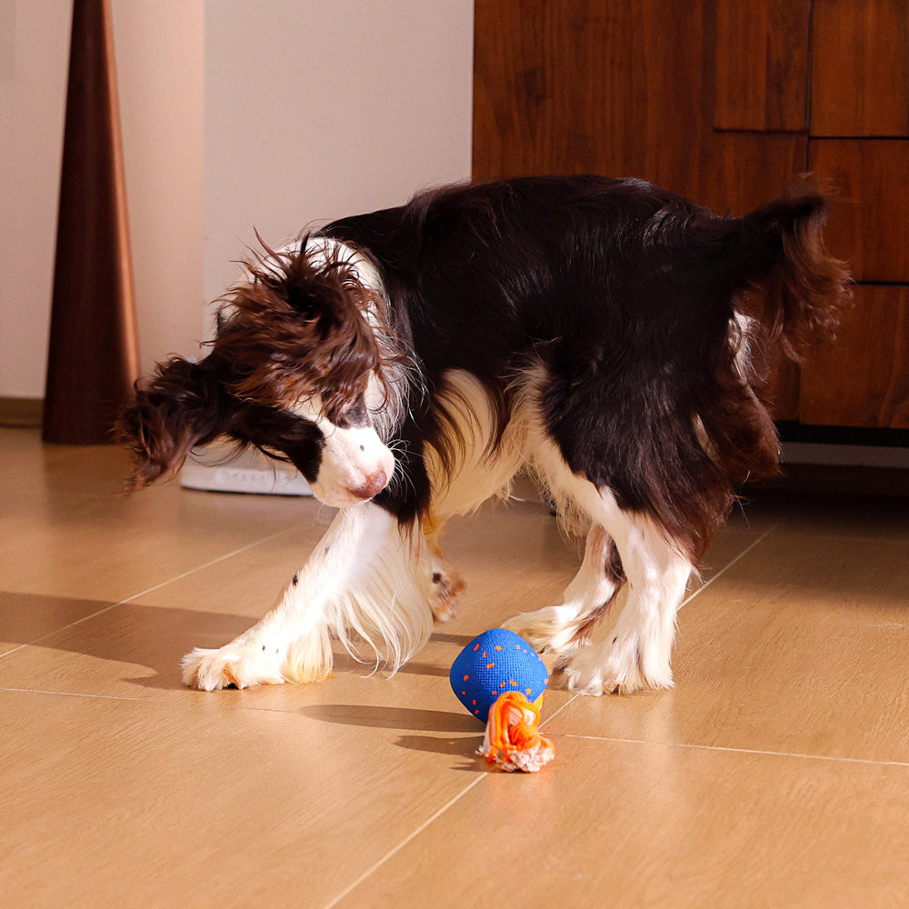 Creeble®Wicked Ball Rolly – Interactive Smart Rolling Dog Toy