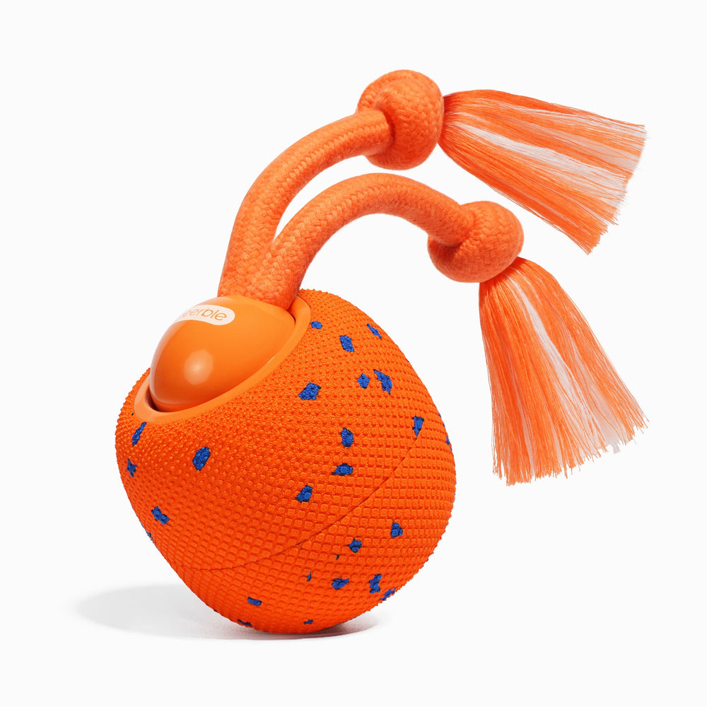 Creeble®Wicked Ball Rolly – Interactive Smart Rolling Dog Toy
