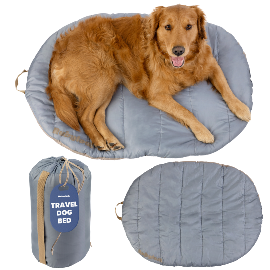 Portable Travel Dog Bed for Camping & Car Trips – Waterproof Roll-Up Pet Mat with Carry Bag