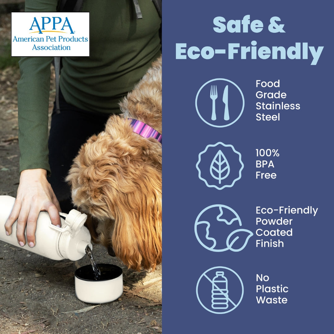 Dog + Human Water Bottle with Detachable Dog Bowl – Insulated Stainless Steel Travel Bottle