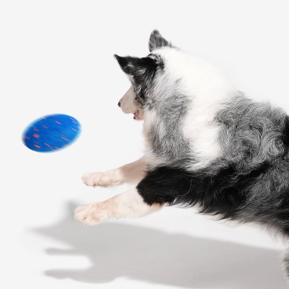 Creeble® Wicked Rugby Interactive Dog Toy – Smart Moving Squeaky Fetch Toy