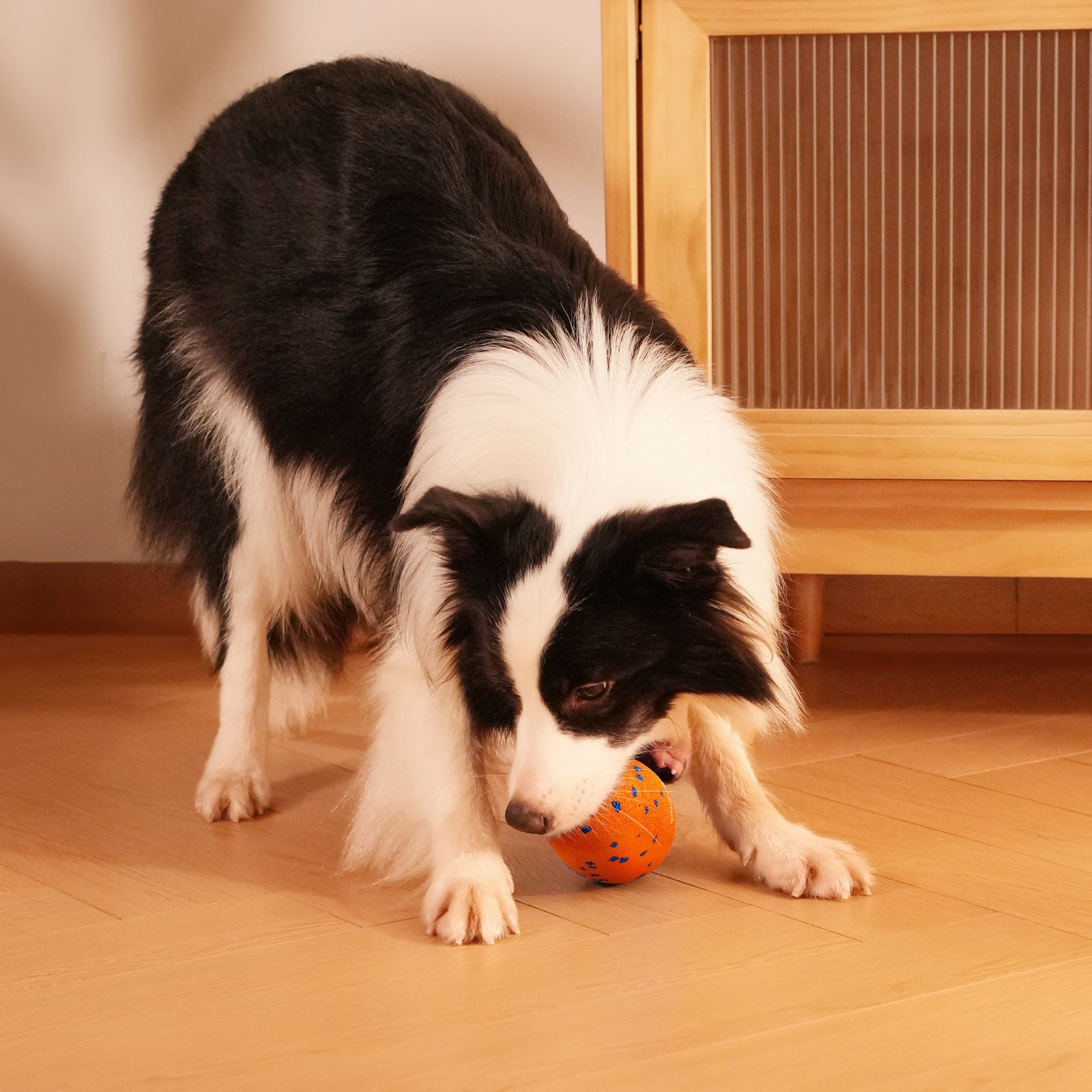 Creeble® Wicked Rugby Interactive Dog Toy – Smart Moving Squeaky Fetch Toy