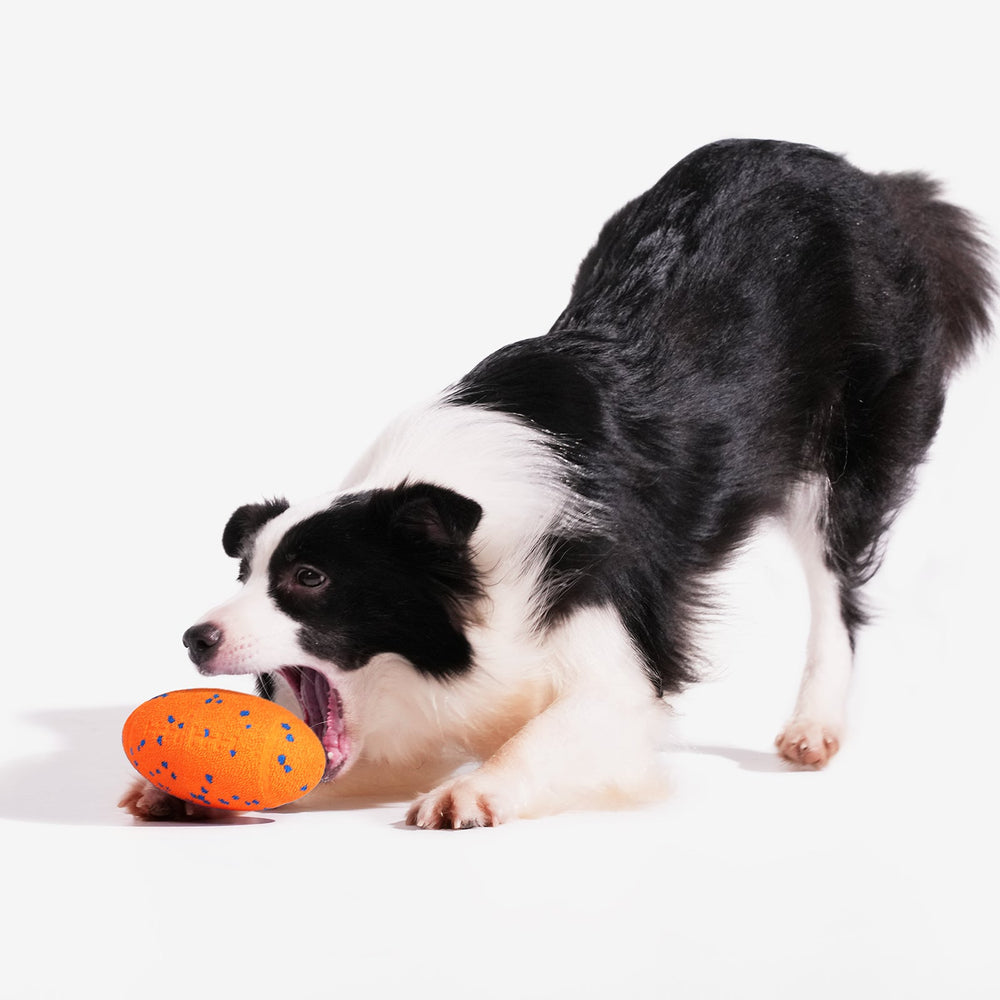 Creeble® Wicked Rugby Interactive Dog Toy – Smart Moving Squeaky Fetch Toy