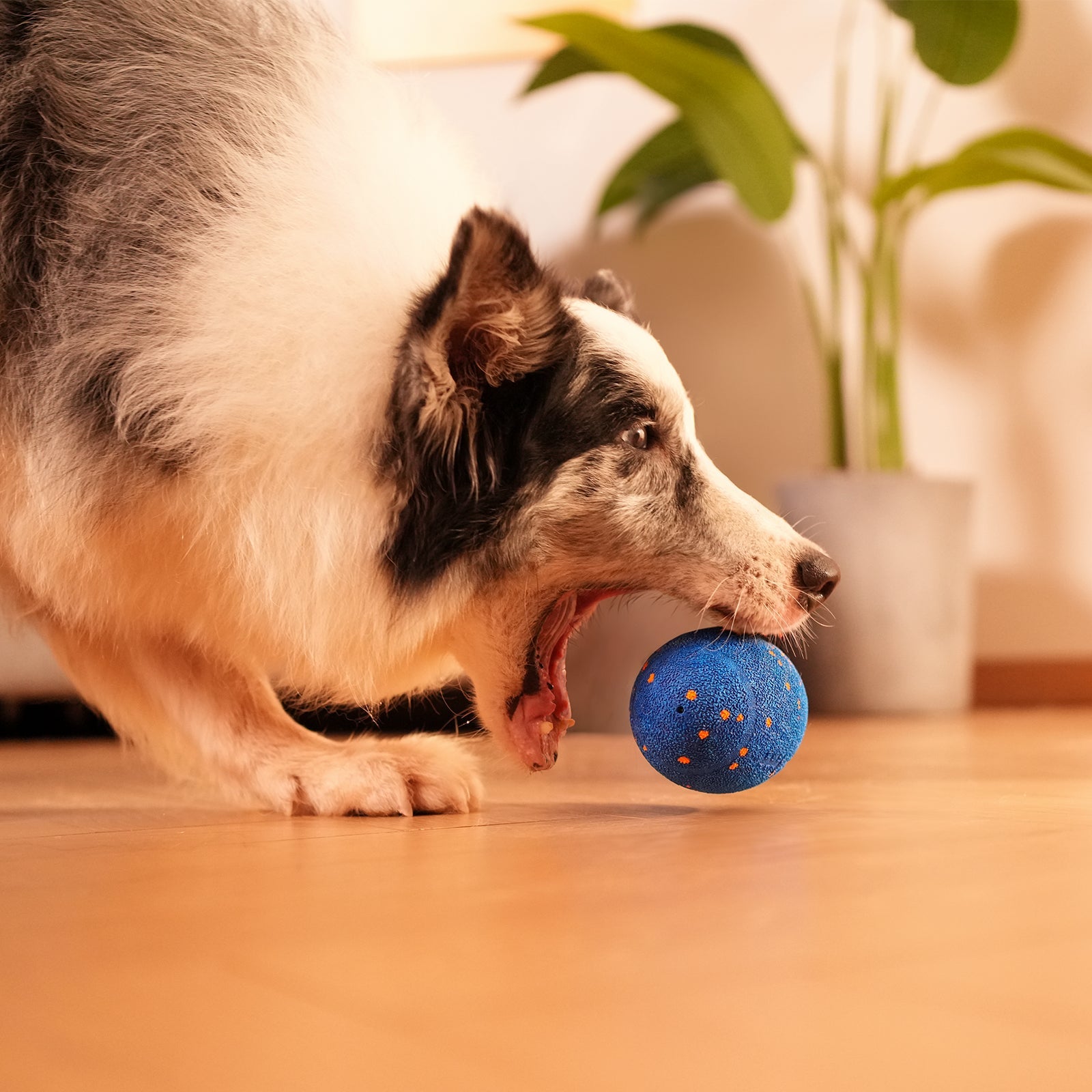 Creeble® Wicked Rugby Interactive Dog Toy – Smart Moving Squeaky Fetch Toy