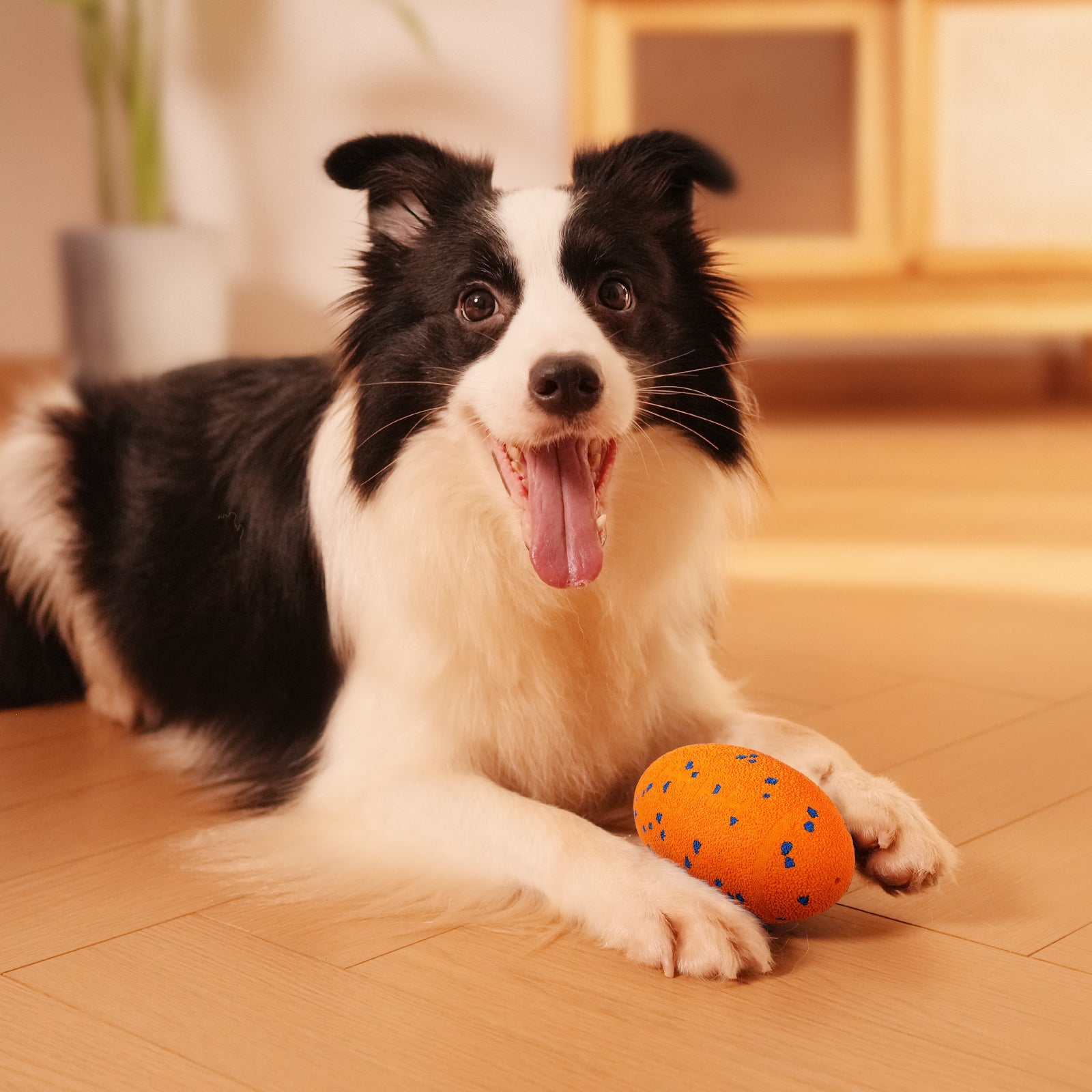 Creeble® Wicked Rugby Interactive Dog Toy – Smart Moving Squeaky Fetch Toy