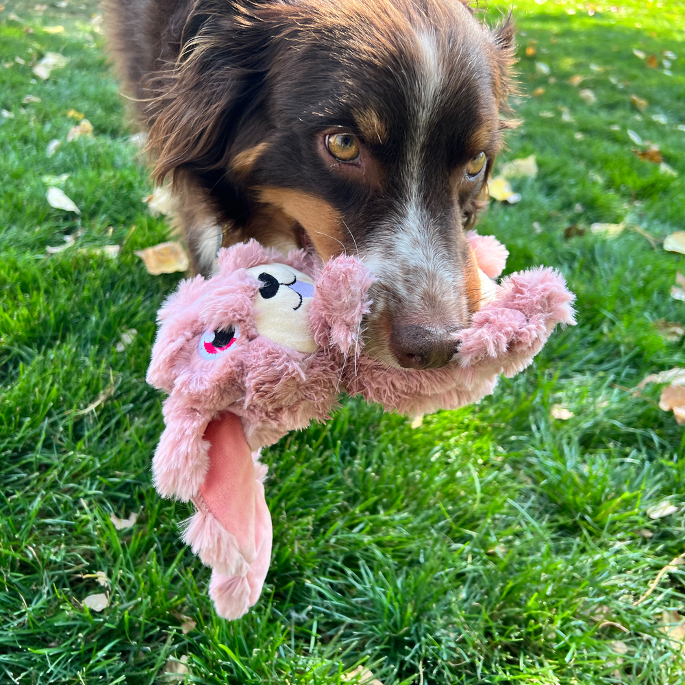 KONG Scrumplez Bunny Plush Dog Toy (Medium) – Squeaky, Soft & Tug-Ready for Gentle Indoor Play