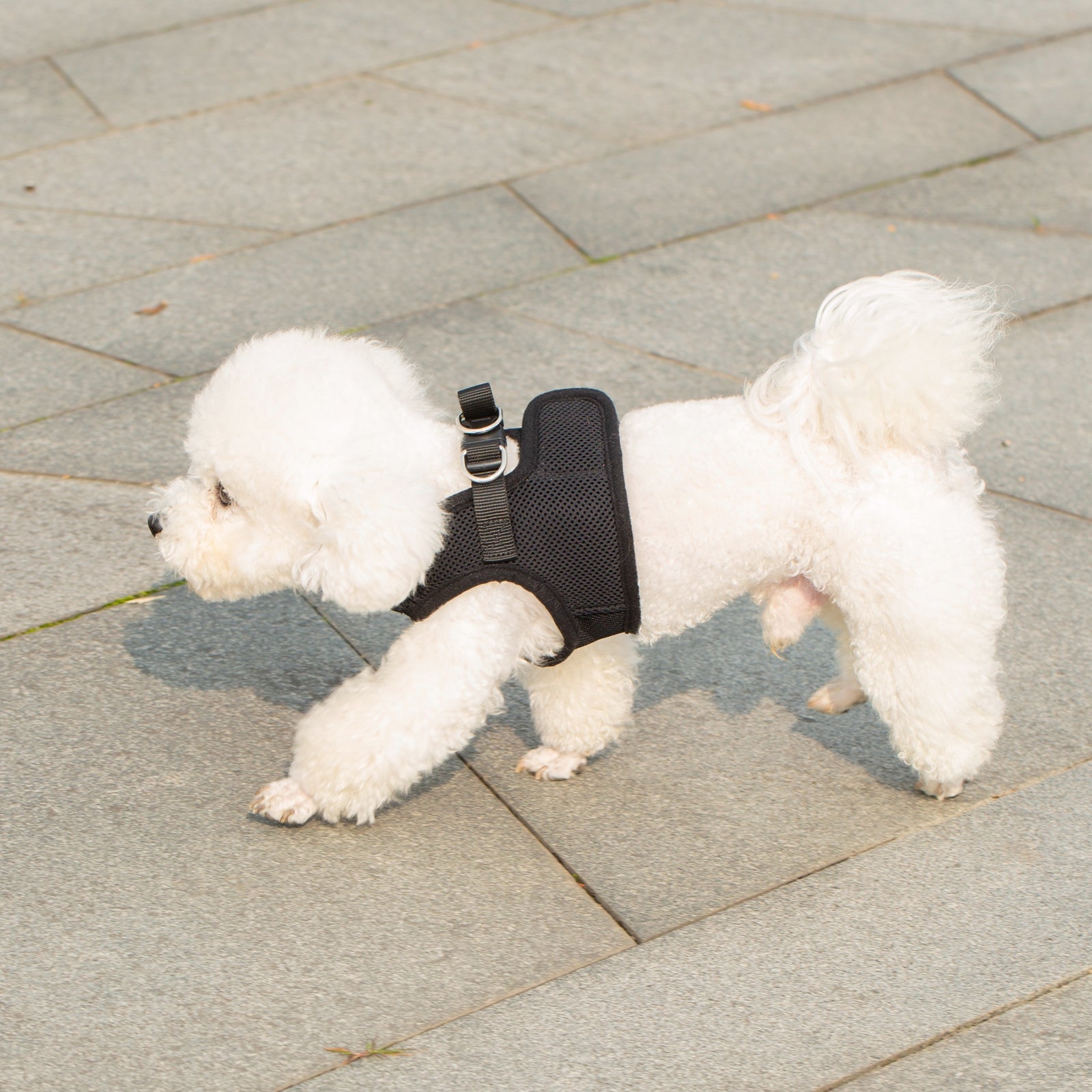 Mr. Peanut’s PupTrek Step-In Harness & Leash Combo – Breathable Mesh Vest for Small Pets