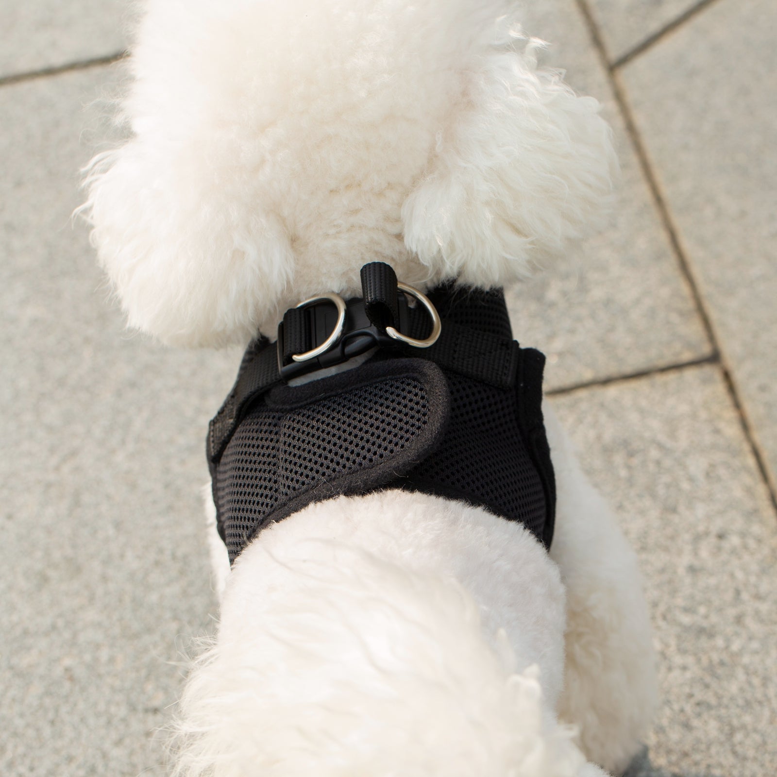 Mr. Peanut’s PupTrek Step-In Harness & Leash Combo – Breathable Mesh Vest for Small Pets