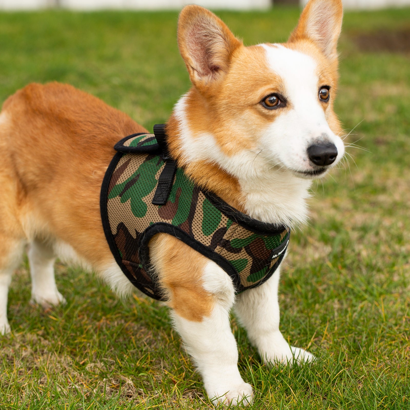 Mr. Peanut’s PupTrek Step-In Harness & Leash Combo – Breathable Mesh Vest for Small Pets