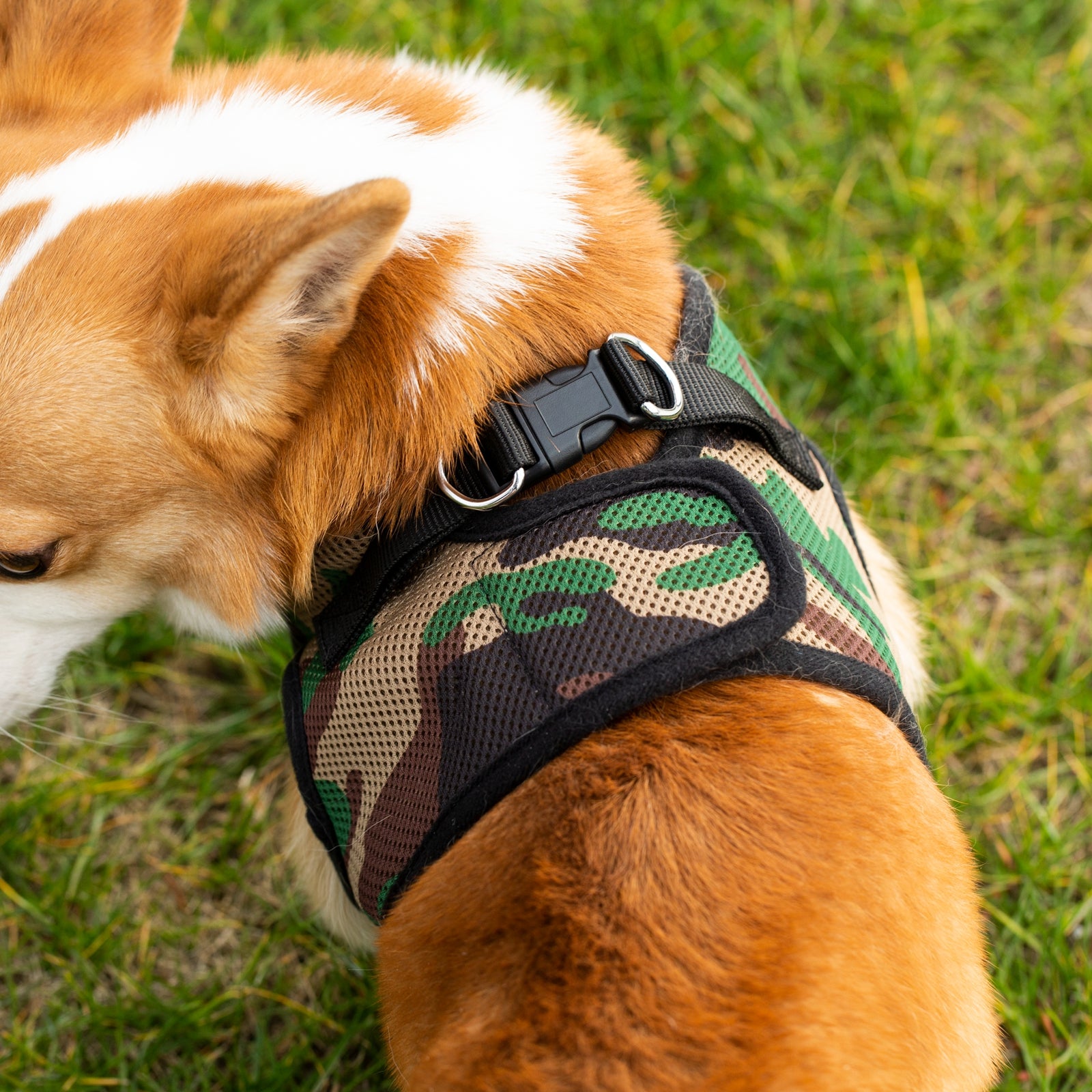 Mr. Peanut’s PupTrek Step-In Harness & Leash Combo – Breathable Mesh Vest for Small Pets
