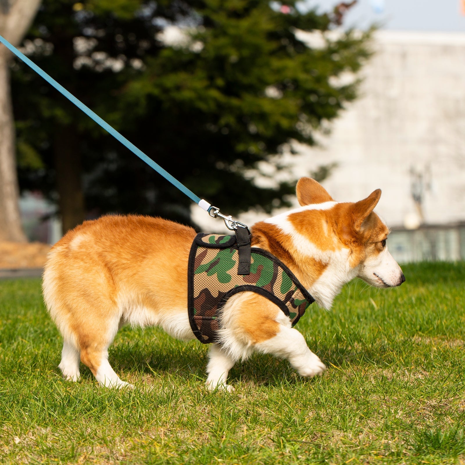 Mr. Peanut’s PupTrek Step-In Harness & Leash Combo – Breathable Mesh Vest for Small Pets