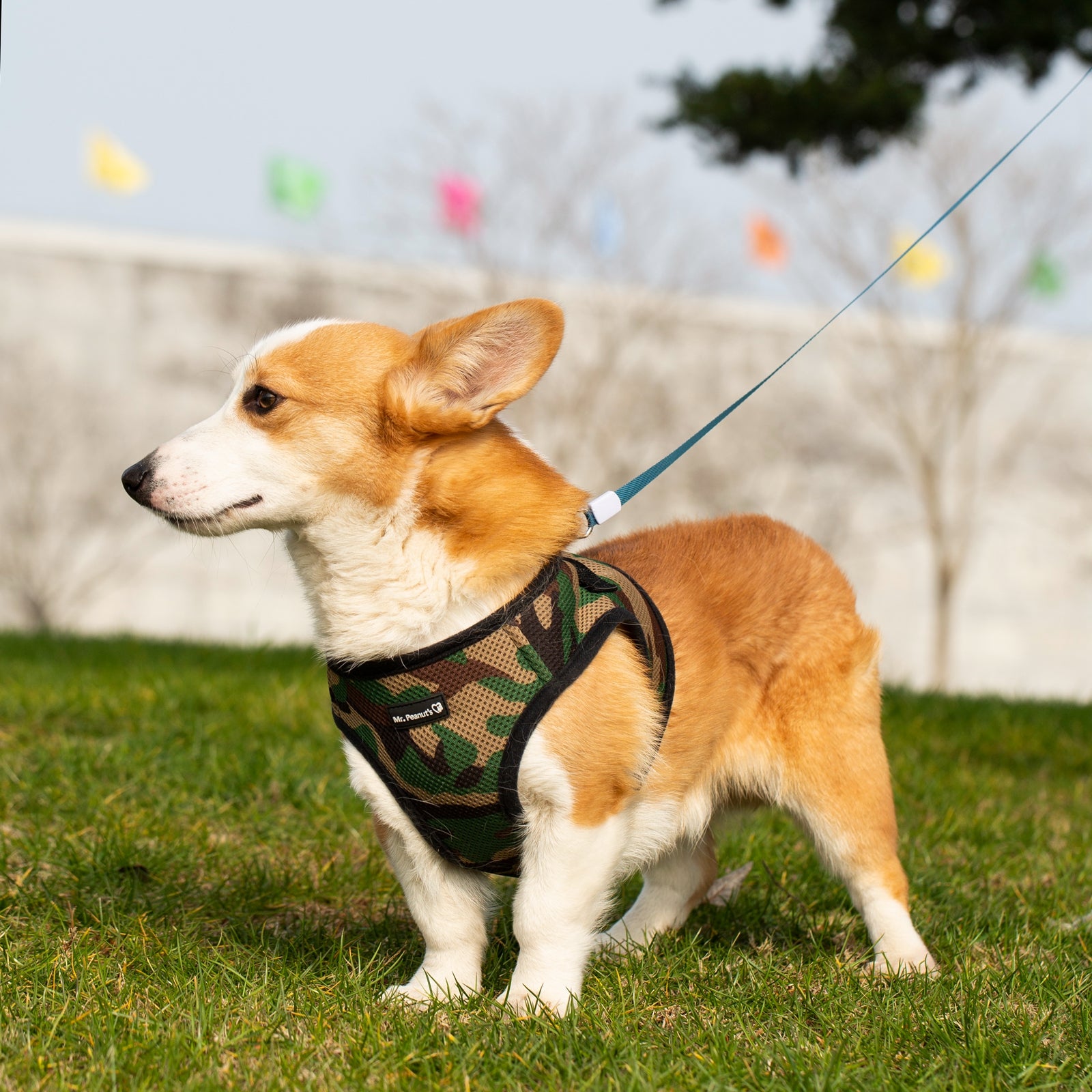 Mr. Peanut’s PupTrek Step-In Harness & Leash Combo – Breathable Mesh Vest for Small Pets