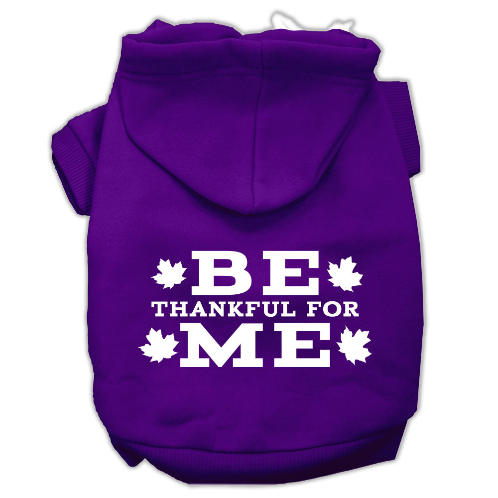 “Be Thankful for Me” Thanksgiving Dog & Cat Hoodie – Screen-Printed Pet Apparel