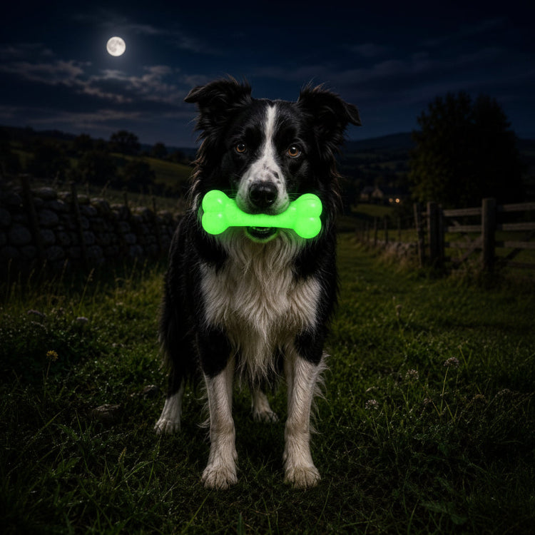 SodaPup PUP-X Glow-in-the-Dark Dog Bone – Large Floating Chew Toy