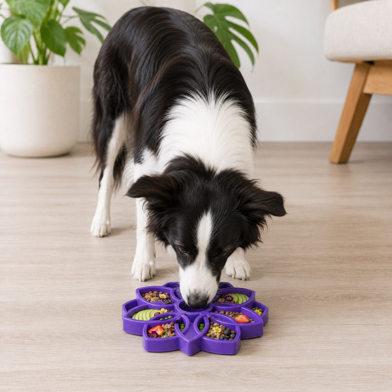 SodaPup Mandala Slow Feeder for Dogs – Enrichment Lick Mat & Puzzle Feeding Tray