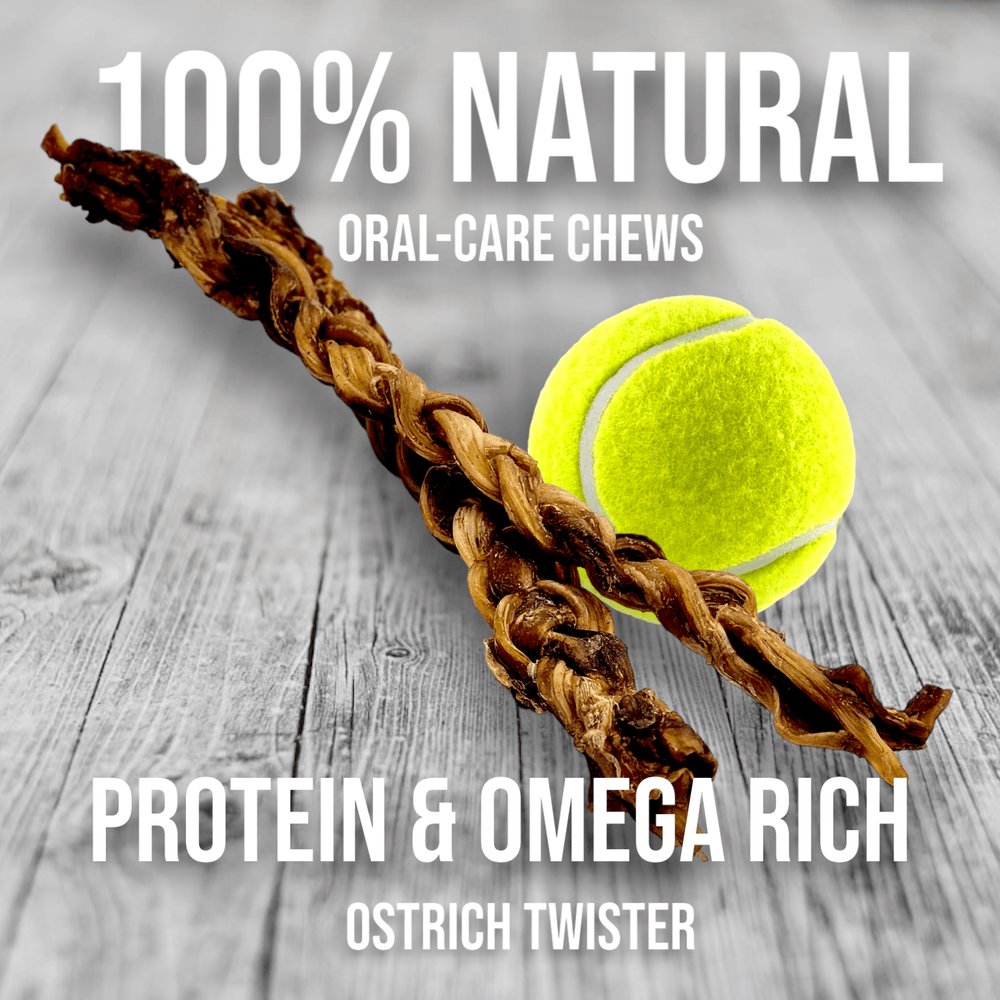 Ultimate Ostrich Power Chewer Box (Medium) – 8 Hypoallergenic, Long-Lasting Treats for Tough Dogs