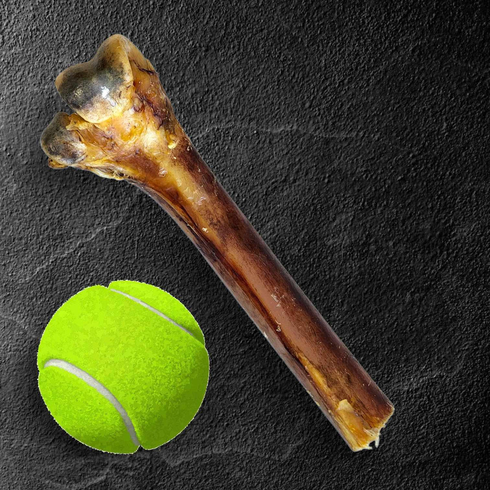 Medium Ostrich Cane (10" x 3") – Long-Lasting, Hypoallergenic Chew for Medium & Large Dogs