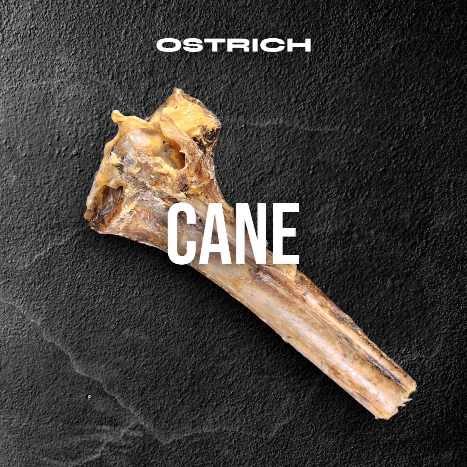 Moderate Chewer Ostrich Treat Box – 8 Premium Items (25% Off)