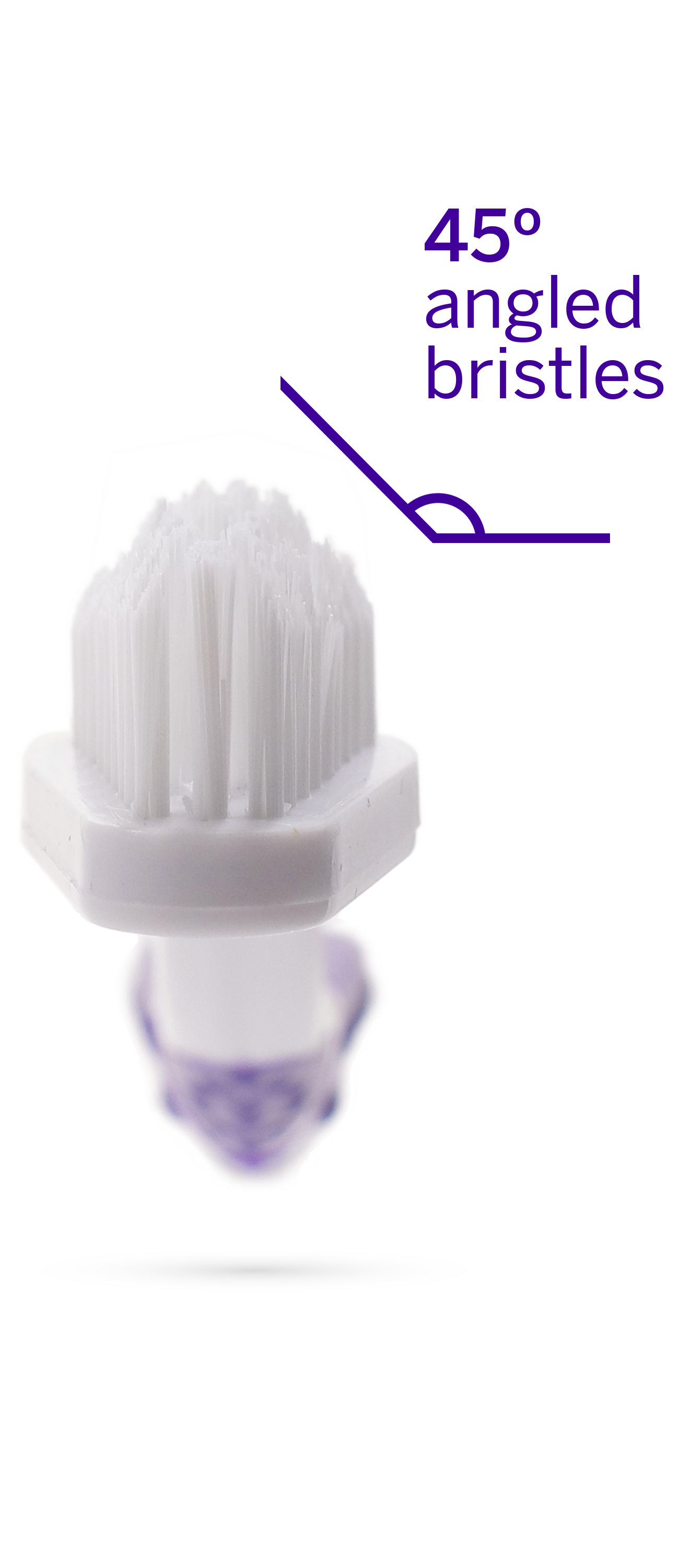 Petsmile® "Say Cheese" Toothpaste (Large) & Professional Pet Toothbrush – Vet-Approved Dental Kit
