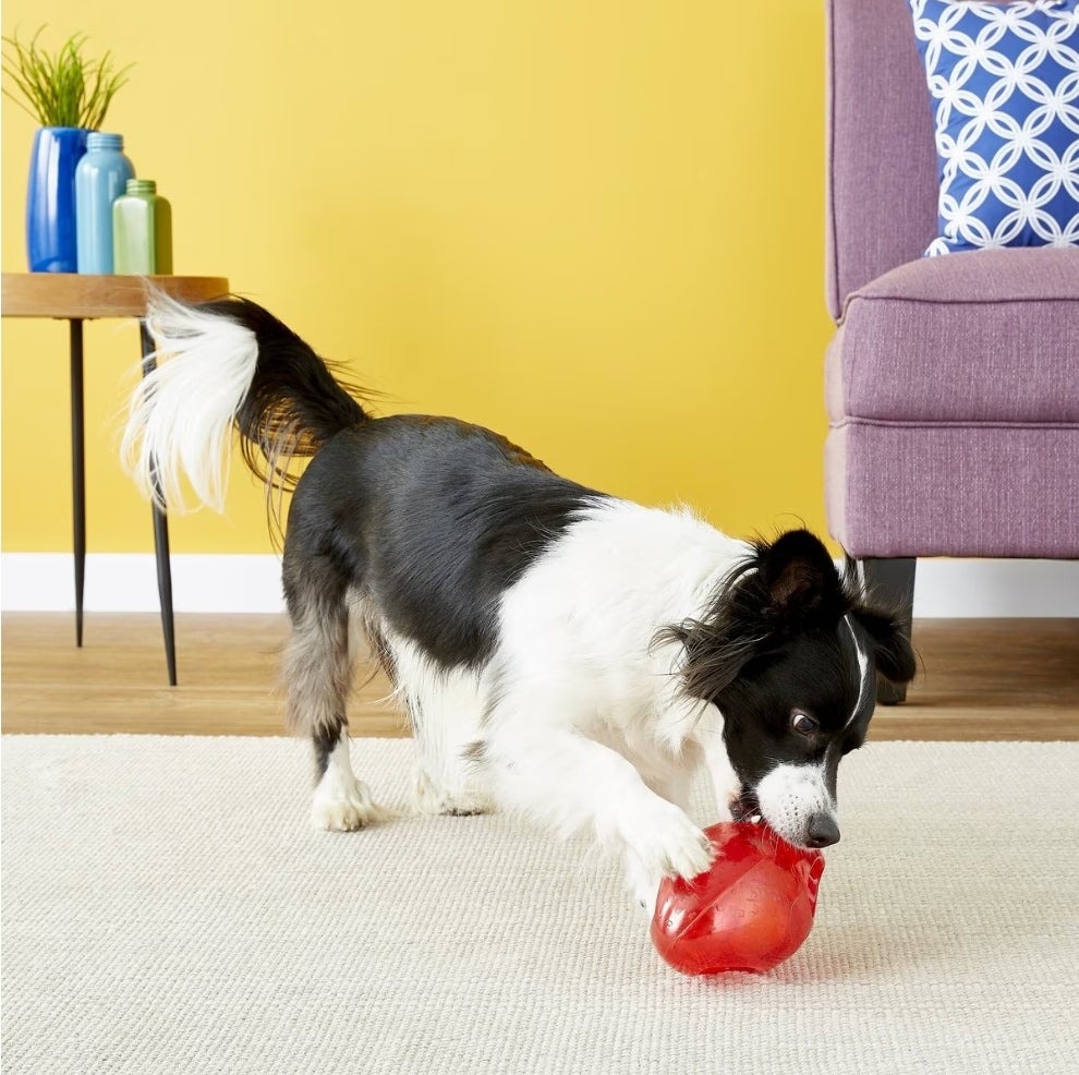 KONG Jumbler Ball: Interactive Play (for Medium/Large Dogs)