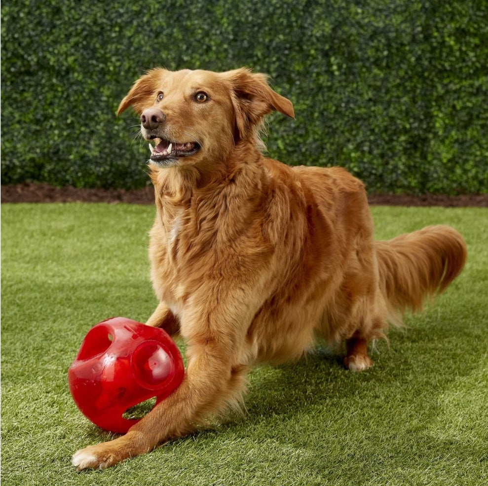 KONG Jumbler Ball: Interactive Play (for Medium/Large Dogs)